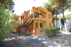 Apartm�n - na velmi klidn�m m�st� v 
piniov�m lese, 400m od mo�e